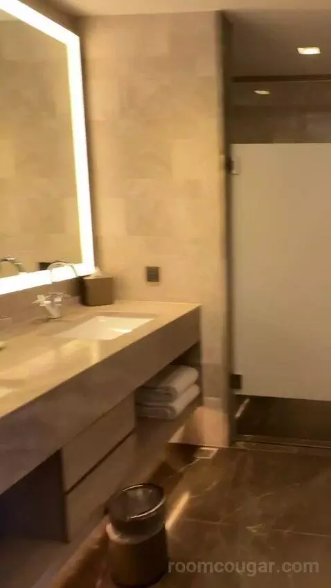 Executive Lounge Access, Suite, 1 King, Corner Room bathroom picture #4