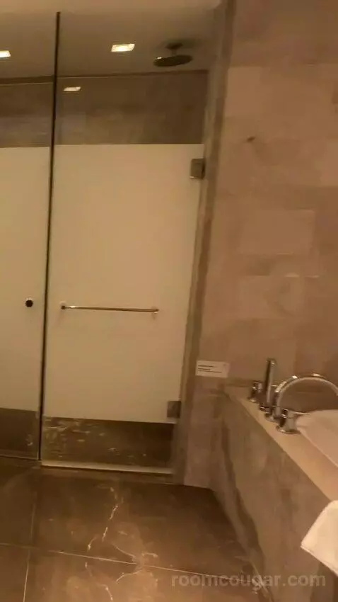 Executive Lounge Access, Suite, 1 King, Corner Room bathroom picture #8