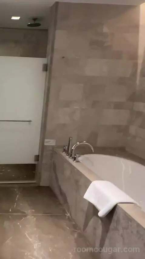 Executive Lounge Access, Suite, 1 King, Corner Room bathroom picture #11