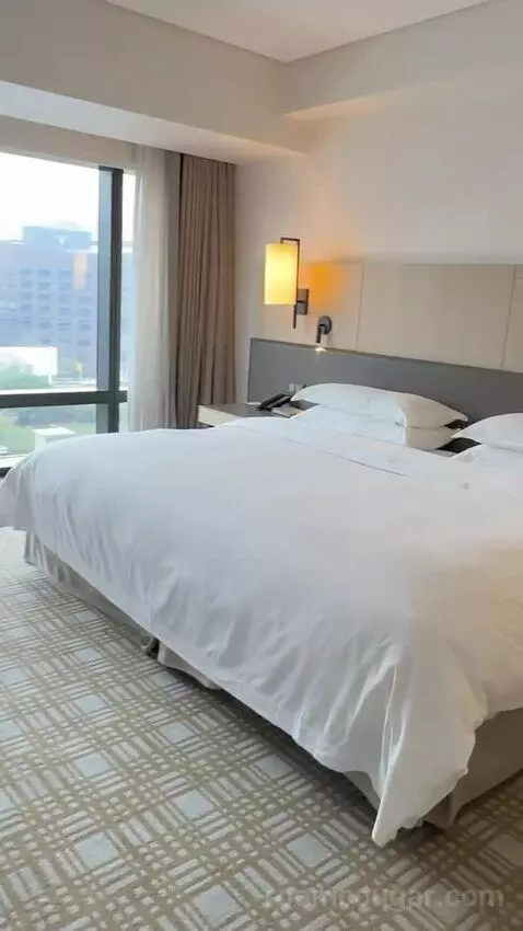 Executive Lounge Access, Suite, 1 King, Corner Room bed picture #2