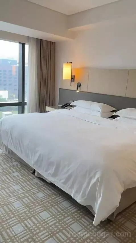 Executive Lounge Access, Suite, 1 King, Corner Room bed picture #4