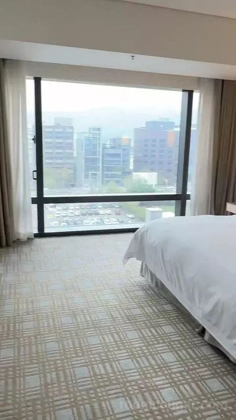 Executive Lounge Access, Suite, 1 King, Corner Room bed picture #8
