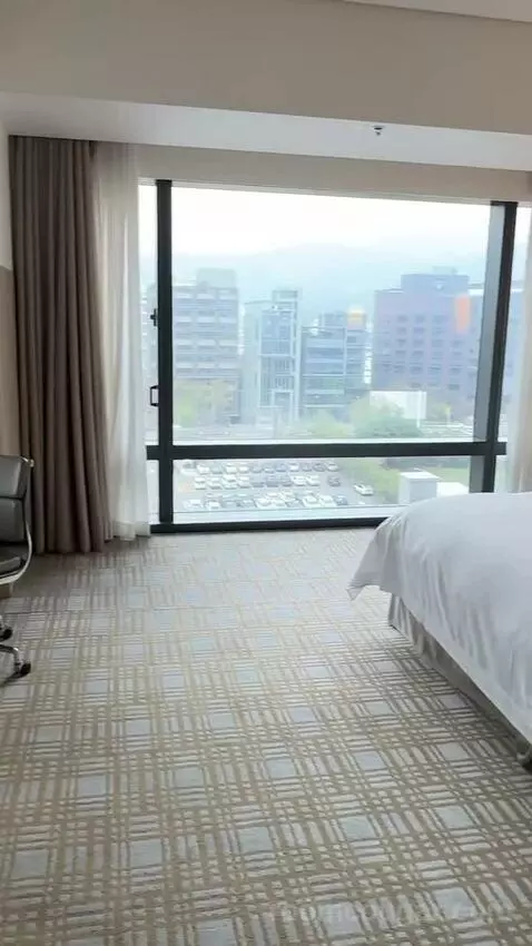 Executive Lounge Access, Suite, 1 King, Corner Room picture #19