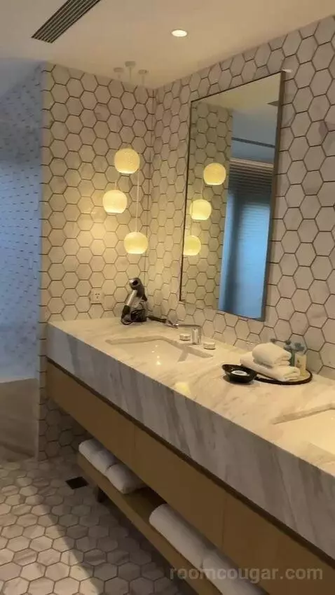Presidential Suite bathroom picture #7