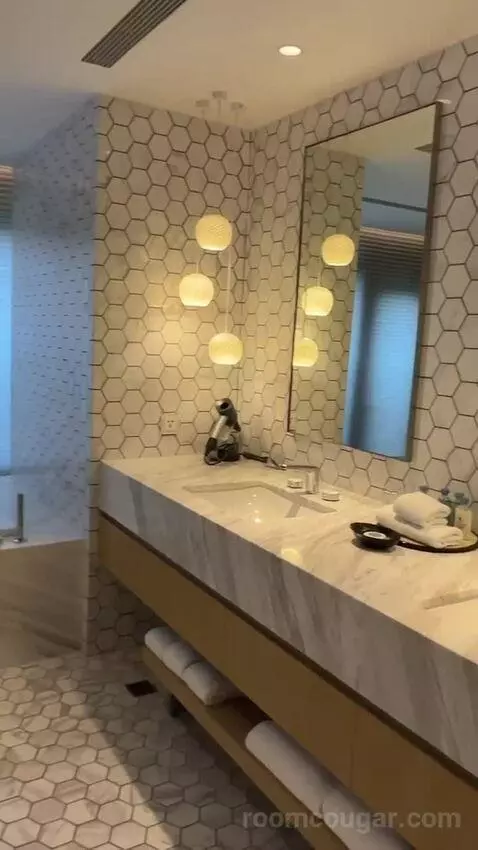 Presidential Suite bathroom picture #8