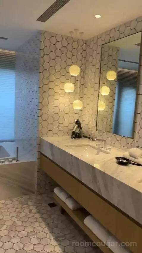 Presidential Suite bathroom picture #9