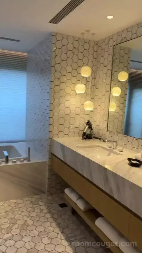 Presidential Suite bathroom picture #10