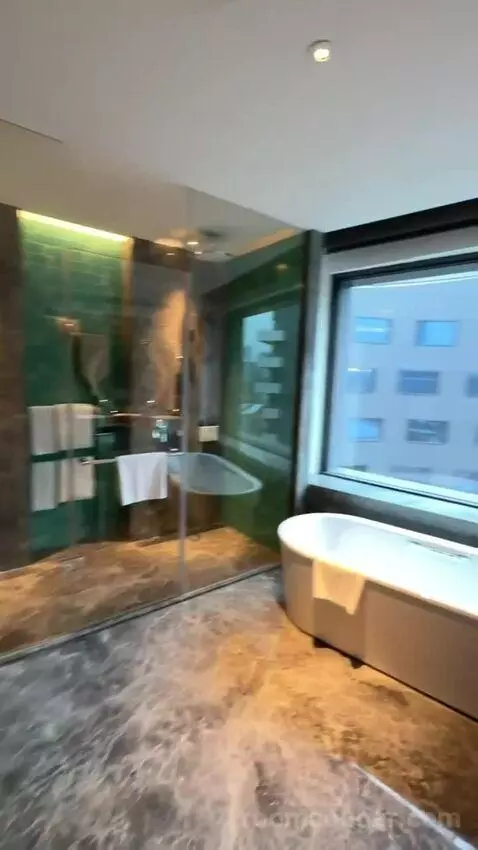 1 Bedroom Suite Taipei City View bathroom picture #6
