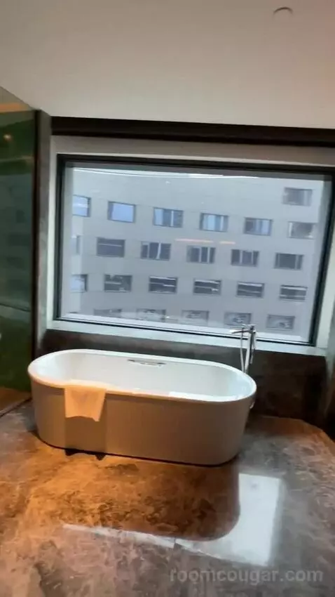 1 Bedroom Suite Taipei City View bathroom picture #3
