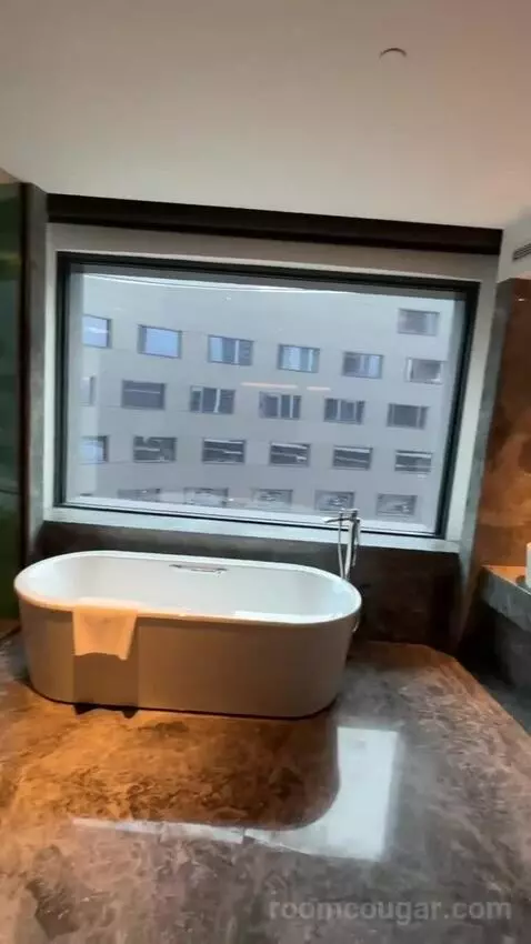 1 Bedroom Suite Taipei City View bathroom picture #4