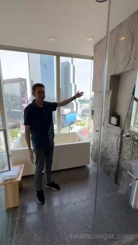 Deluxe King Room with City View view picture #2