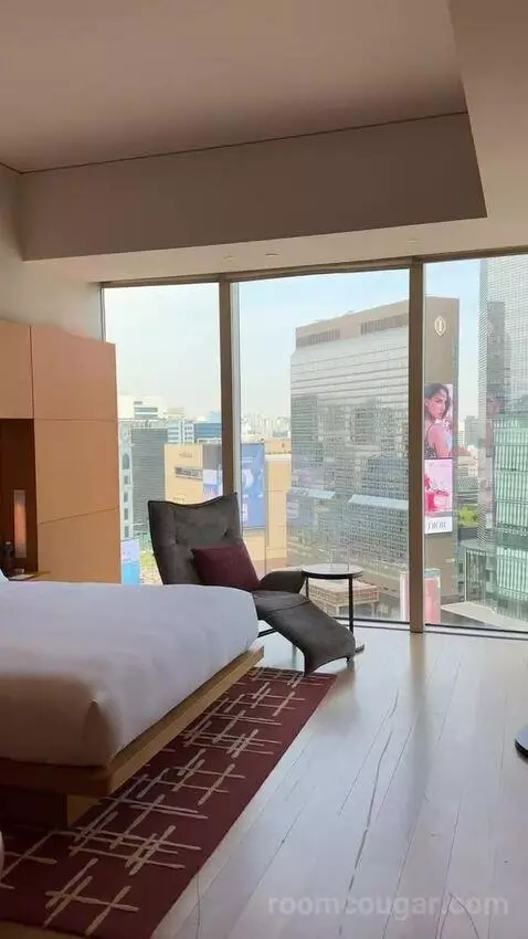 Deluxe King Room with City View picture #15