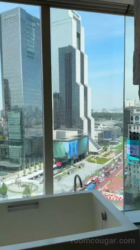 Deluxe King Room with City View view picture #3