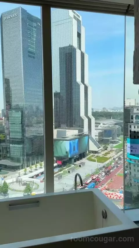 Deluxe King Room with City View picture #19