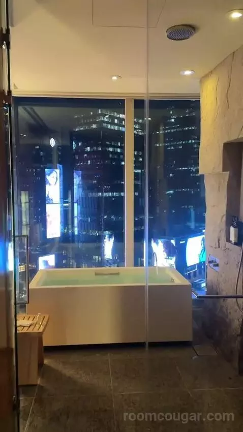 Deluxe King Room with City View bathroom picture #5