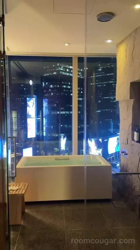 Deluxe King Room with City View bathroom picture #6