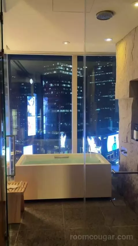 Deluxe King Room with City View picture #20