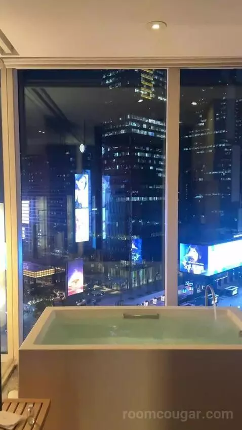 Deluxe King Room with City View bathroom picture #12