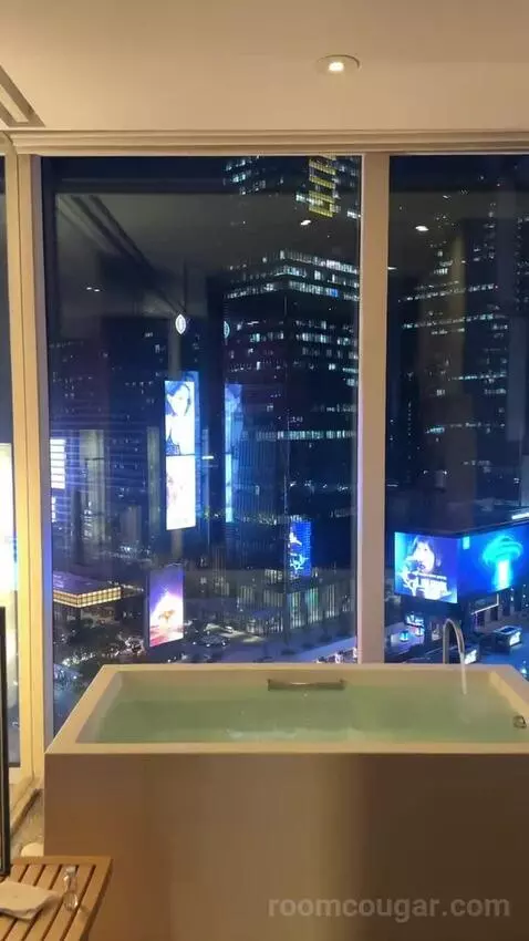 Deluxe King Room with City View picture #21