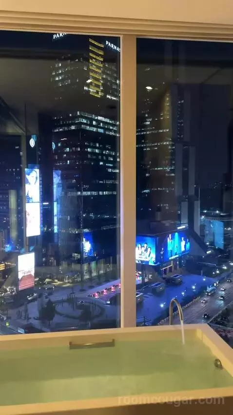 Deluxe King Room with City View picture #22
