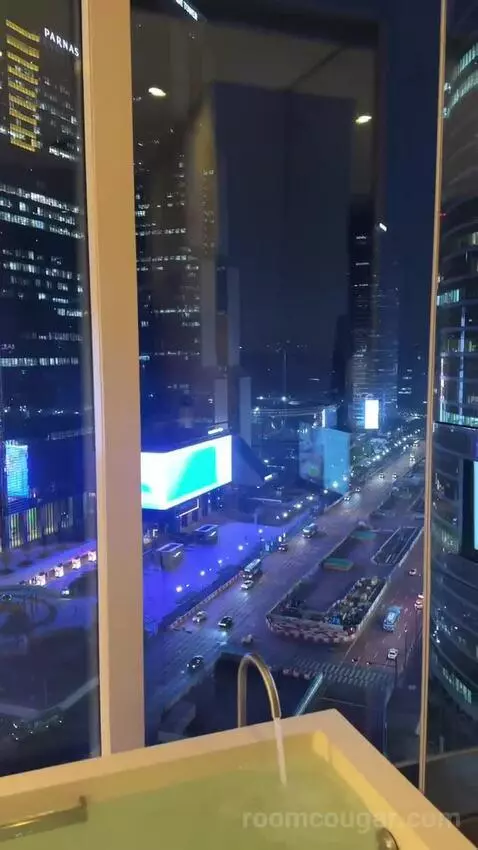 Deluxe King Room with City View view picture #6