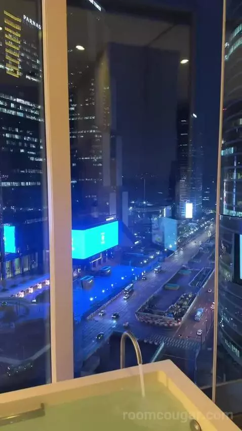 Deluxe King Room with City View picture #23