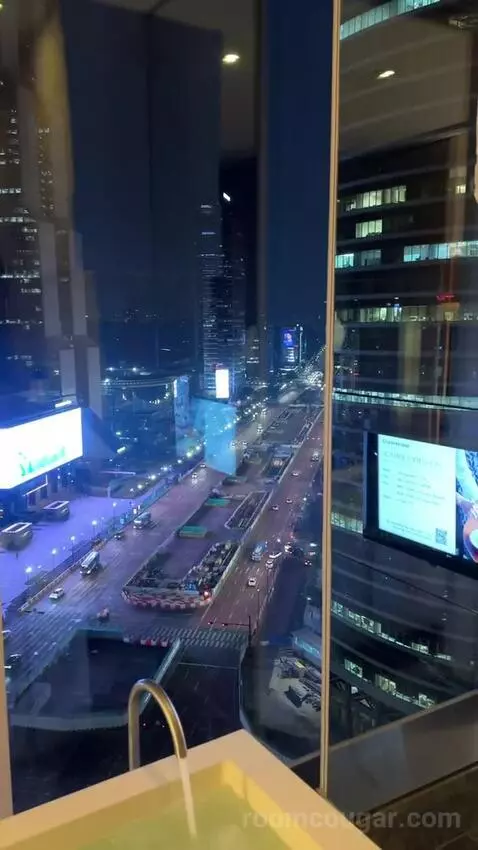 Deluxe King Room with City View picture #24