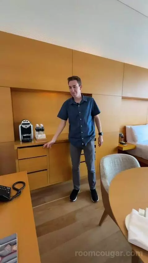 Deluxe King Room with City View picture #4