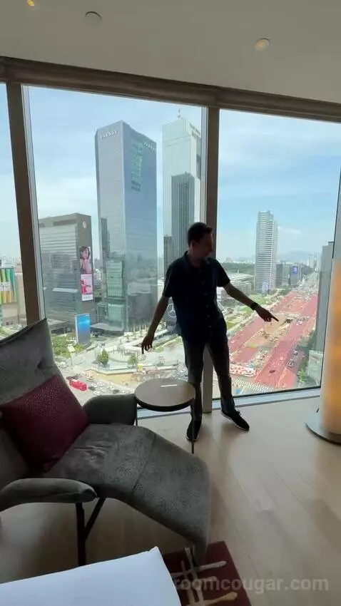 Deluxe King Room with City View picture #7