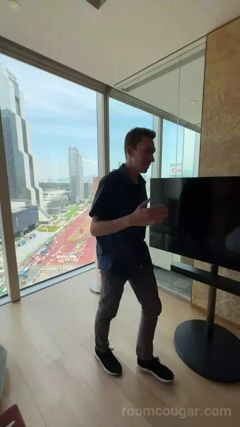 Deluxe King Room with City View picture #8