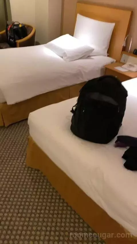 Deluxe Twin Room bed picture #1