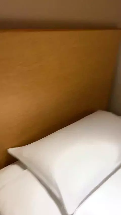 Deluxe Twin Room bed picture #8