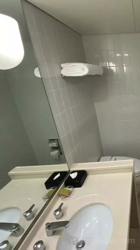 Deluxe Twin Room bathroom picture #2