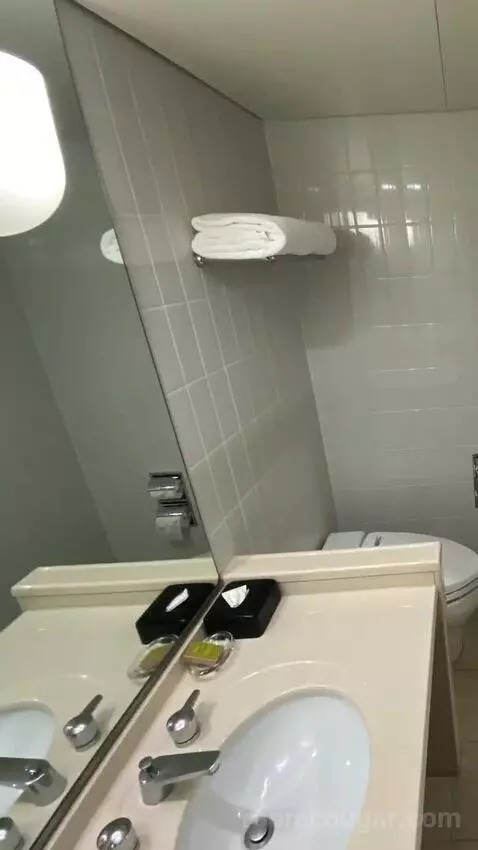 Deluxe Twin Room bathroom picture #3