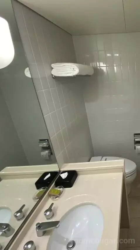 Deluxe Twin Room bathroom picture #4