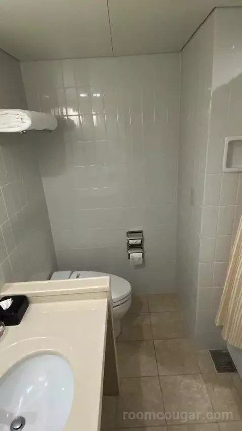 Deluxe Twin Room bathroom picture #7