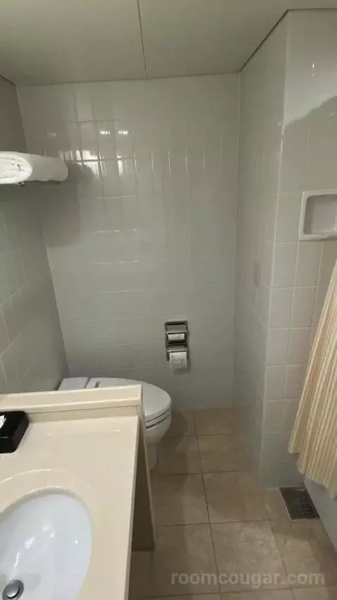 Deluxe Twin Room bathroom picture #8