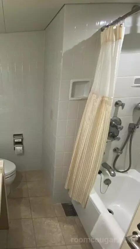 Deluxe Twin Room bathroom picture #10