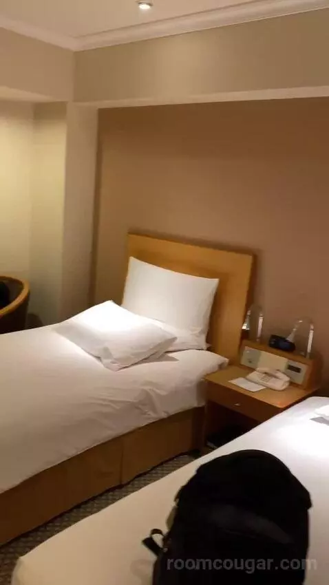 Deluxe Twin Room bed picture #3