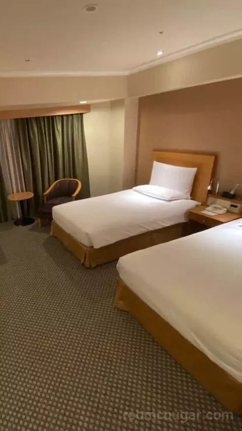 Deluxe Twin Room bed picture #9