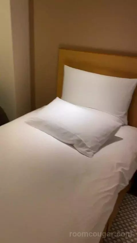Deluxe Twin Room bed picture #6