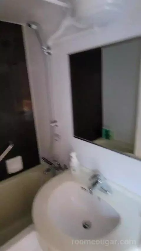 Standard Single Room (#1108) bathroom picture #5