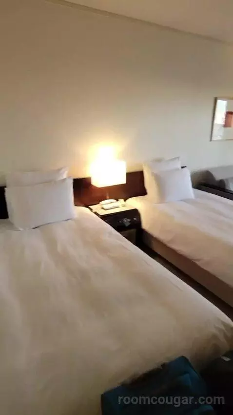 2 Single Premium City View (#2018) bed picture #2