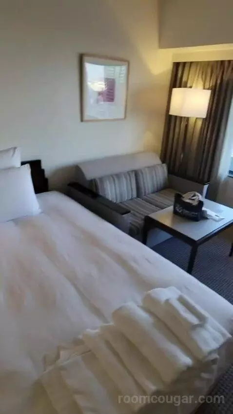 2 Single Premium City View (#2018) bed picture #7