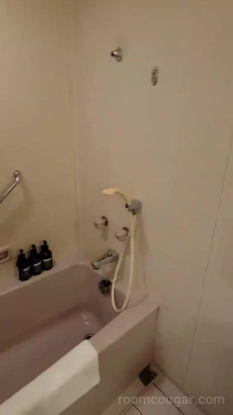 2 Single Premium City View (#2018) bathroom picture #5