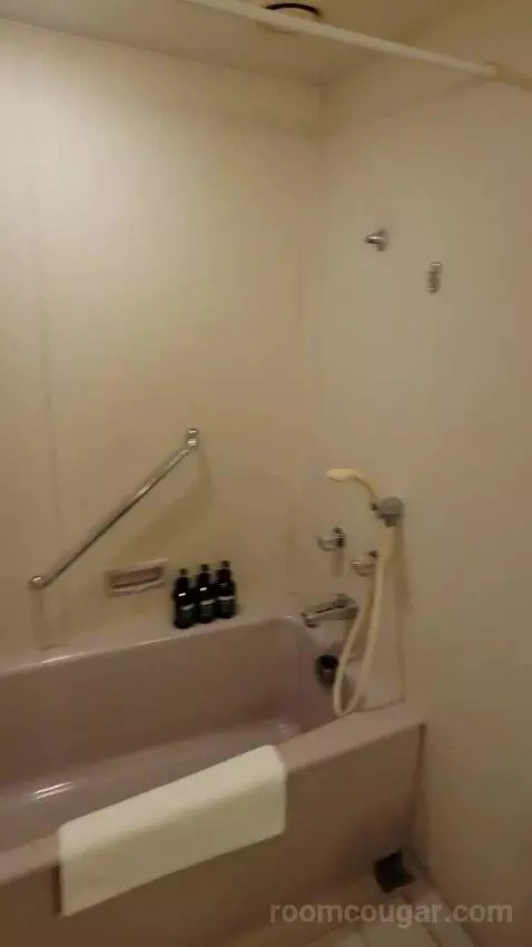 2 Single Premium City View (#2018) bathroom picture #8