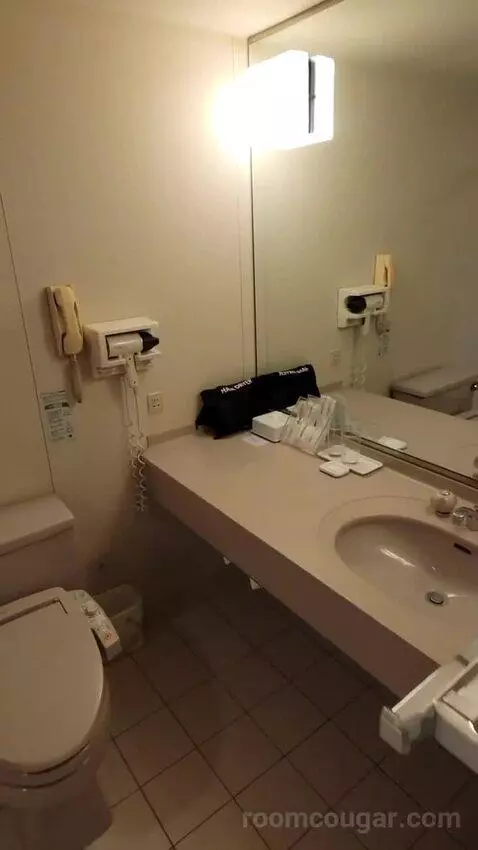 2 Single Premium City View (#2018) bathroom picture #9