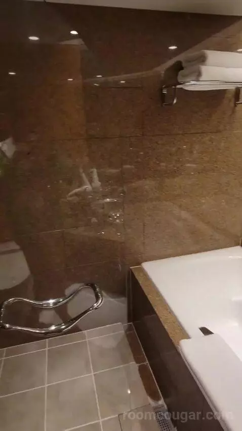 Grand Executive Twin Suite bathroom picture #7