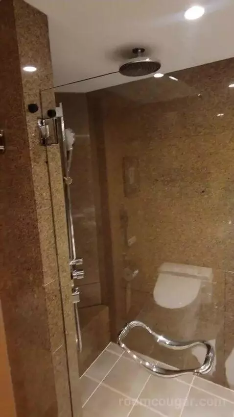 Grand Executive Twin Suite bathroom picture #9