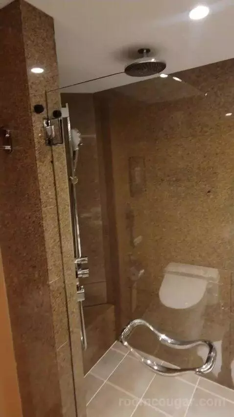 Grand Executive Twin Suite bathroom picture #10